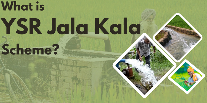 What is YSR Jala Kala Scheme