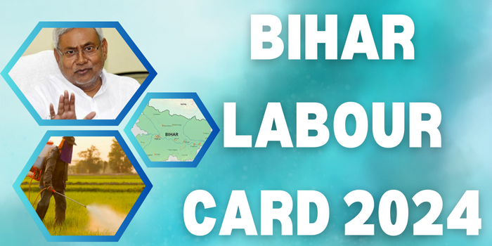 Bihar Labour Card 2025 (1)