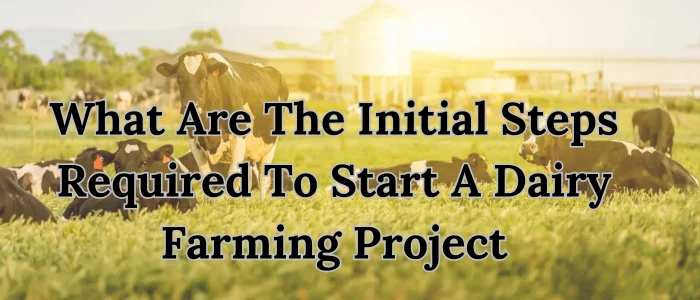 What Are The Initial Steps Required To Start A Dairy Farming Project