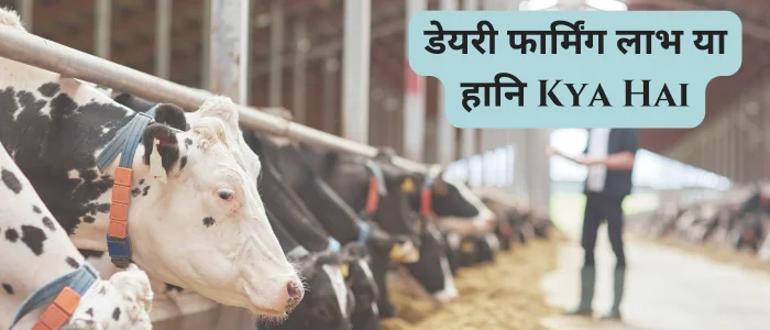 डेयरी फार्मिंग लाभ या हानि Kya Hai