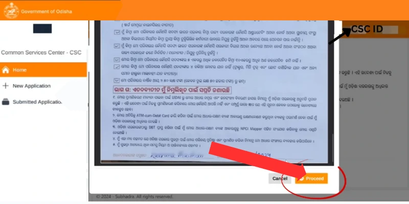 Preview subhadra yojana Application form