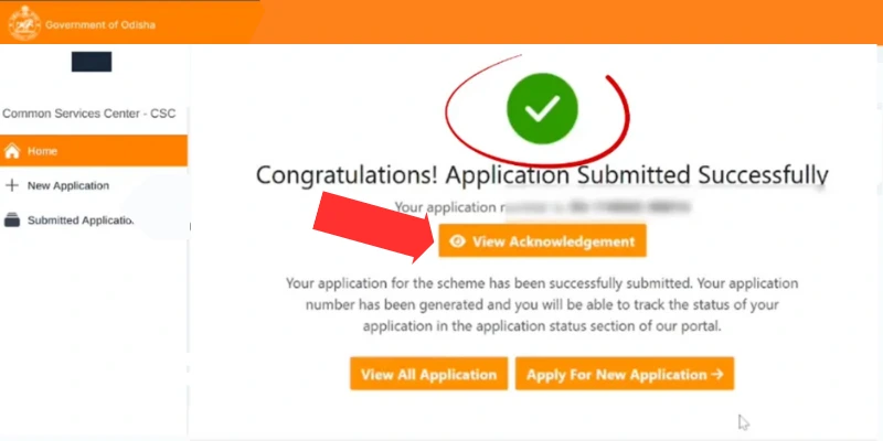 completed Subhadra Yojana Online Apply 2025 Form