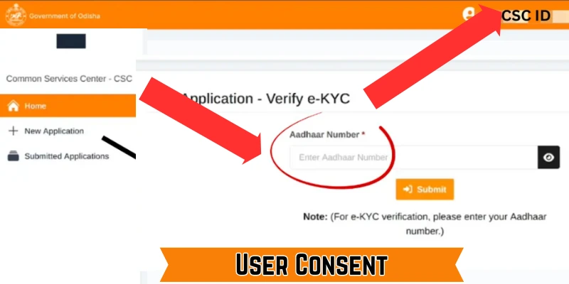 “User Consent” Subhadra Online Apply Yojana