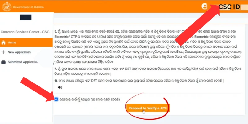Mukhyamantri Subhadra Yojana Online Apply Proceed to Verify e-KYC