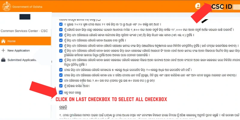 Subhadra Yojana Online Apply 2025 Last Date
