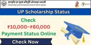 UP Scholarship status check